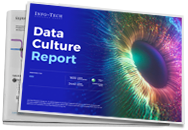 Data Culture Report