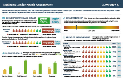 Business Leader Needs Assessment report example